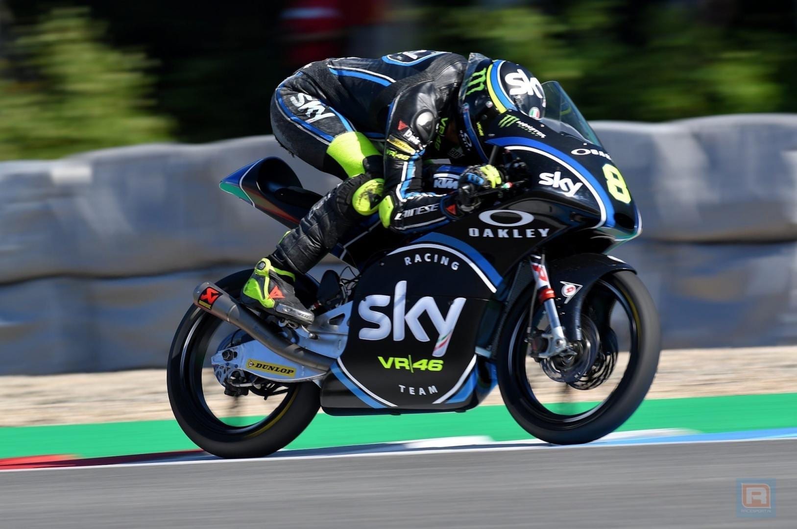 bulega