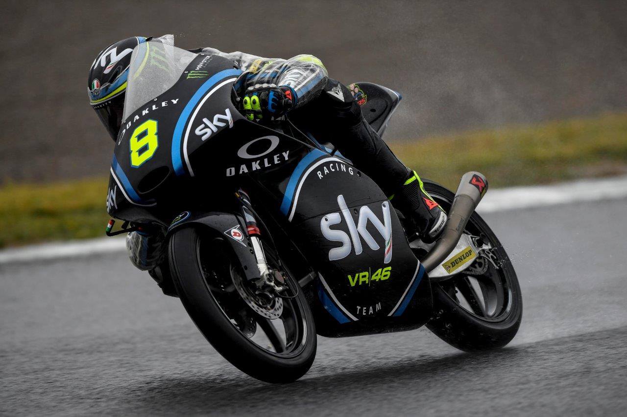 bulega