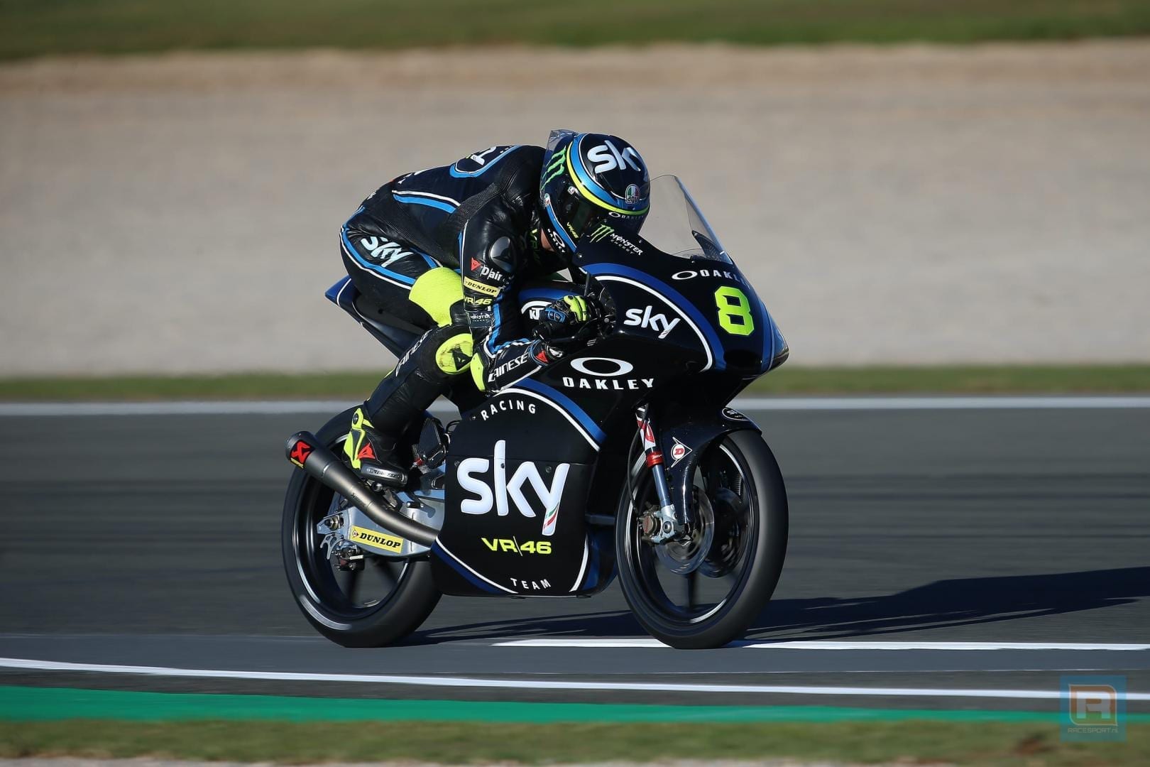 bulega