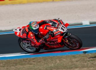 Nicolo Bulega