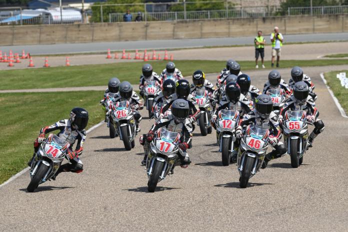 molenaar-nsf100-lelystad