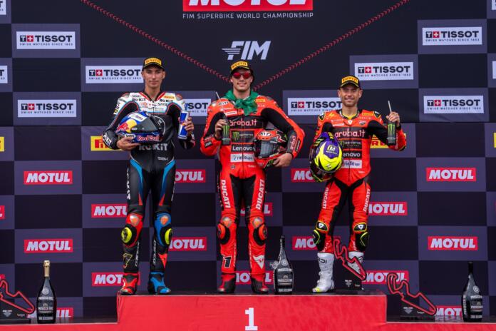bulega