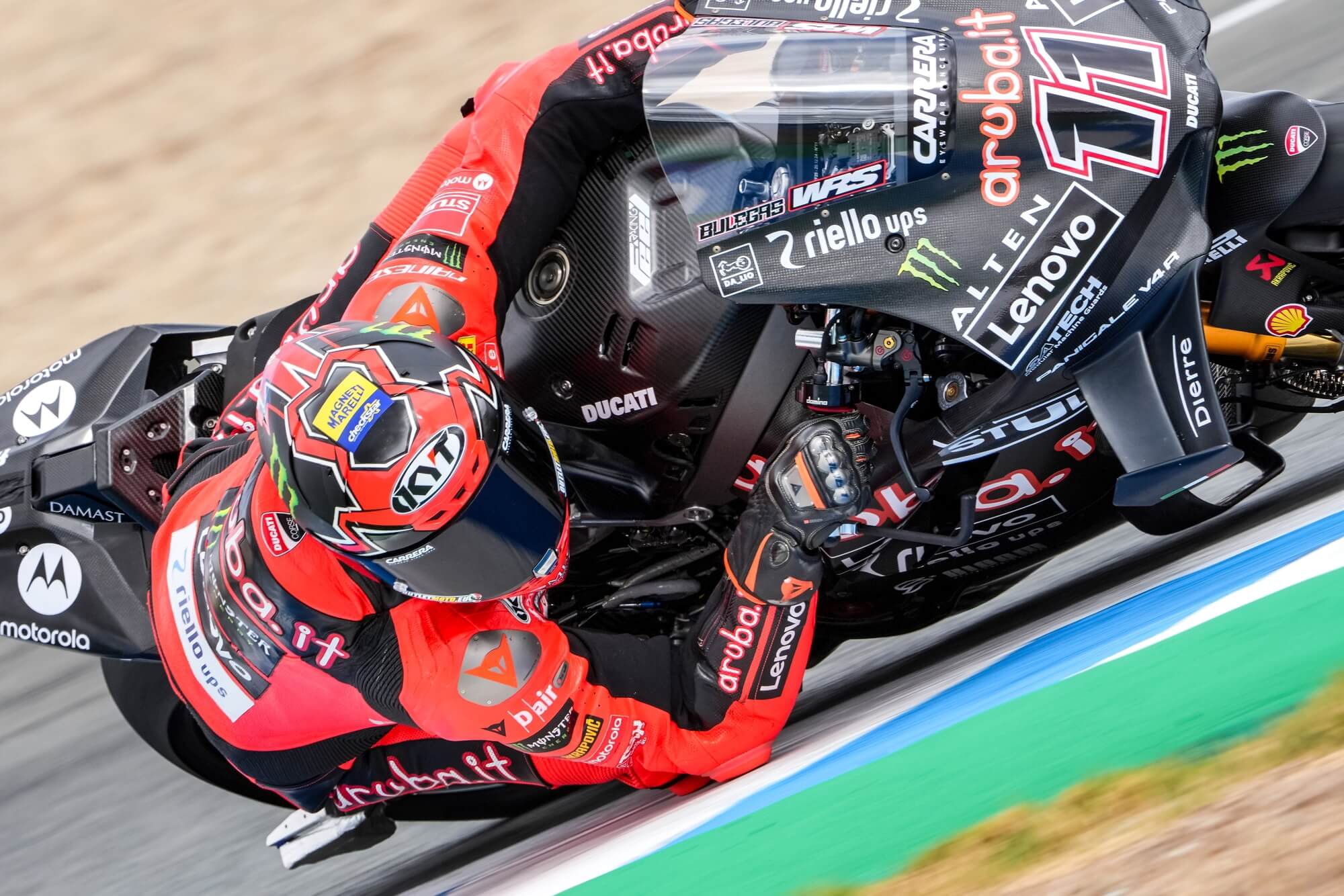 bulega